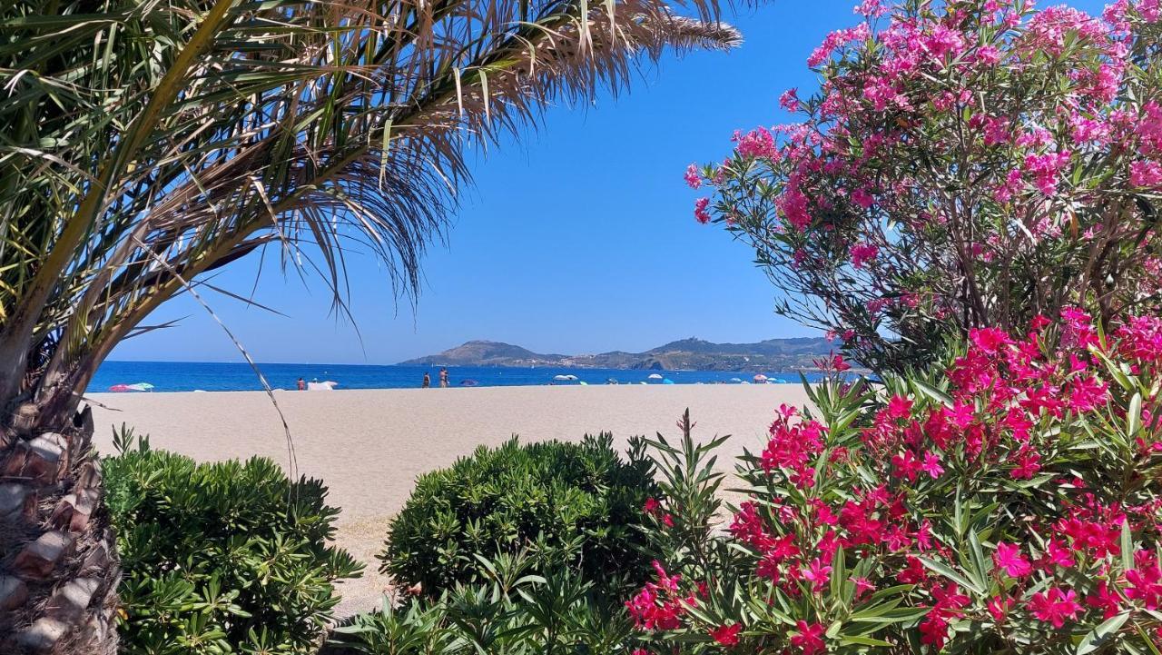 Sur La Plage, Super Studio Avec Vue Sur La Mer Plage dʼArgelès Εξωτερικό φωτογραφία