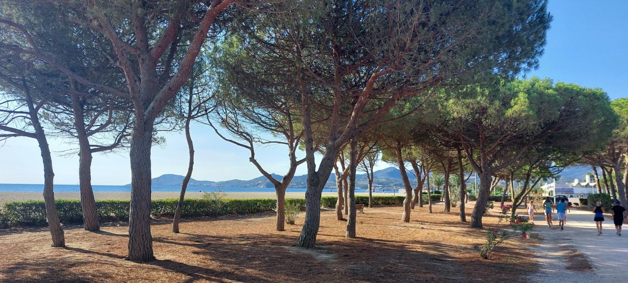 Sur La Plage, Super Studio Avec Vue Sur La Mer Plage dʼArgelès Εξωτερικό φωτογραφία