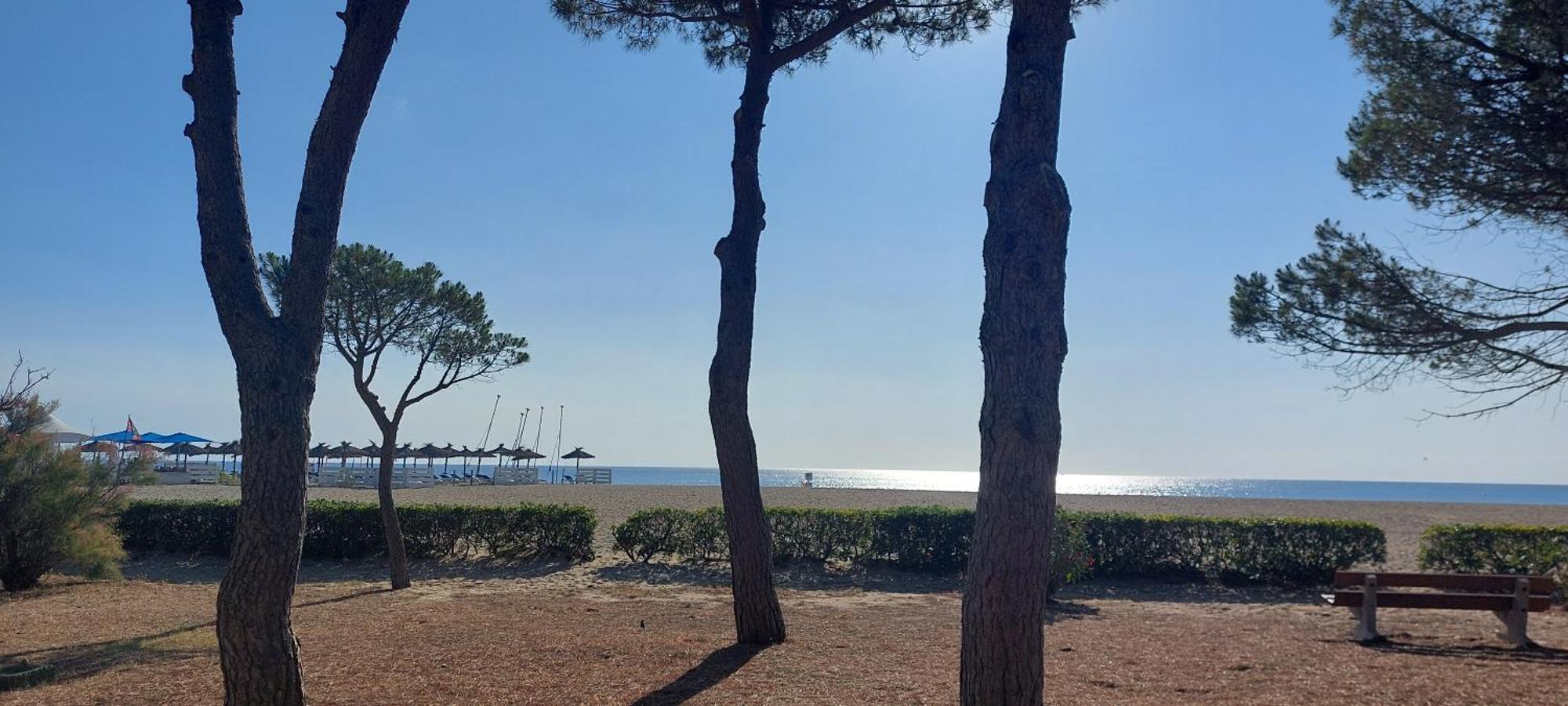 Sur La Plage, Super Studio Avec Vue Sur La Mer Plage dʼArgelès Εξωτερικό φωτογραφία